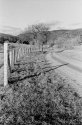 High Valley Road 2