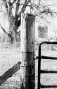 Fence Post