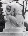 Mt. Auburn Cemetary