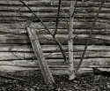 Boards & Tree