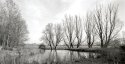 Dommel Creek, Liempde