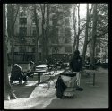 Brute in Bryant Park