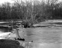 Grand River Flooding.