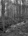 autunno01