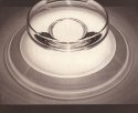 Crystal Bowl