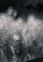Bokah detail