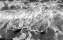 Tide