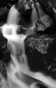Brook