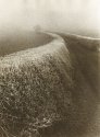 Hoar Frost