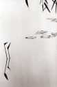 lake scene