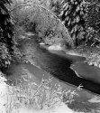Stream, Keweenaw Peninsula - Tom Johnston