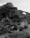 Arch, Kodachrome Basin - Tom Johnston