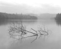 Clinch River, light rain 2