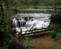 Falls Mill, TN - Tom Johnston