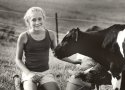 Ebony and calf, farm project