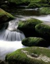 Rocks and water  -  Tom Johnston