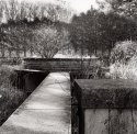 Lost Garden