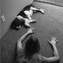 Dog Fantasy