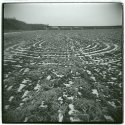 Crop Circles
