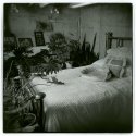 Bodhi's Bed