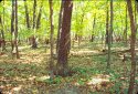 Starved Rock