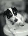 AGFA APX-100 - dr5-GALLARY