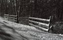 Finally - First Winter Snow - Feb. 2007