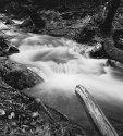 stream