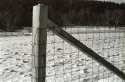 High Valley Road 2/07 Fencepost I