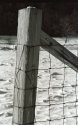 High Valley Road 2/07 Fencepost  II