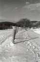 High Valley Road 2/07 Fencepost  III