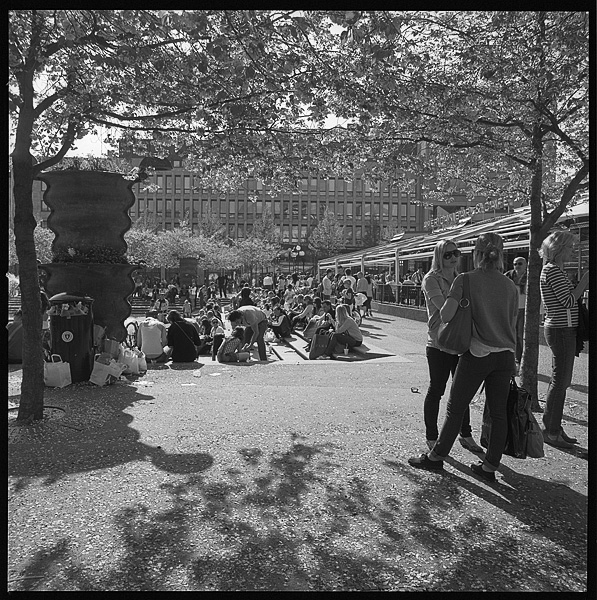 Approaching the Royal Garden