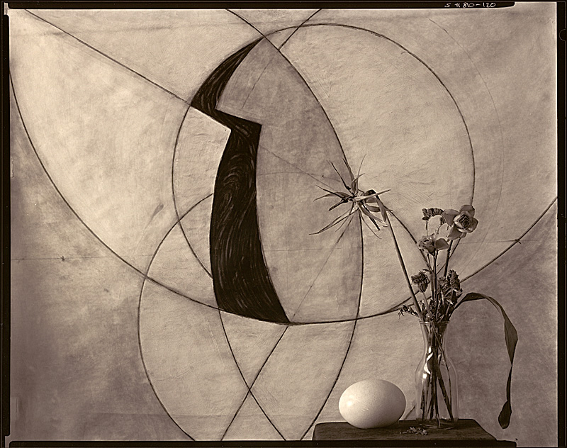 Flowers, Ostrich egg and painting