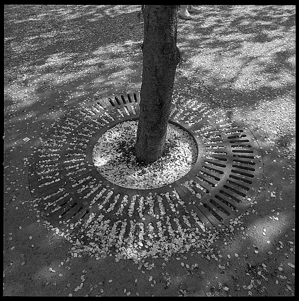 Remains