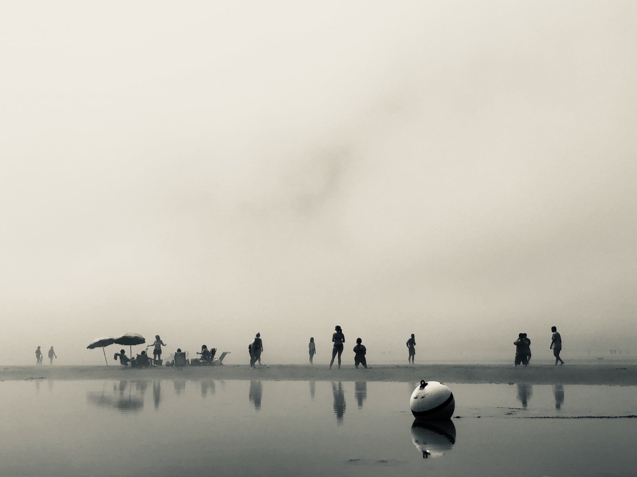… Fog and the distance beyond it Boats and the quiet morning noises...