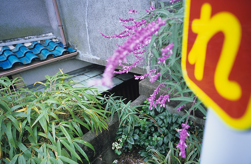 色々色