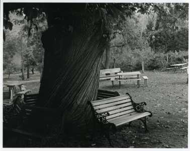 100 Yrs Old, Sit. Listen (Week Ends)