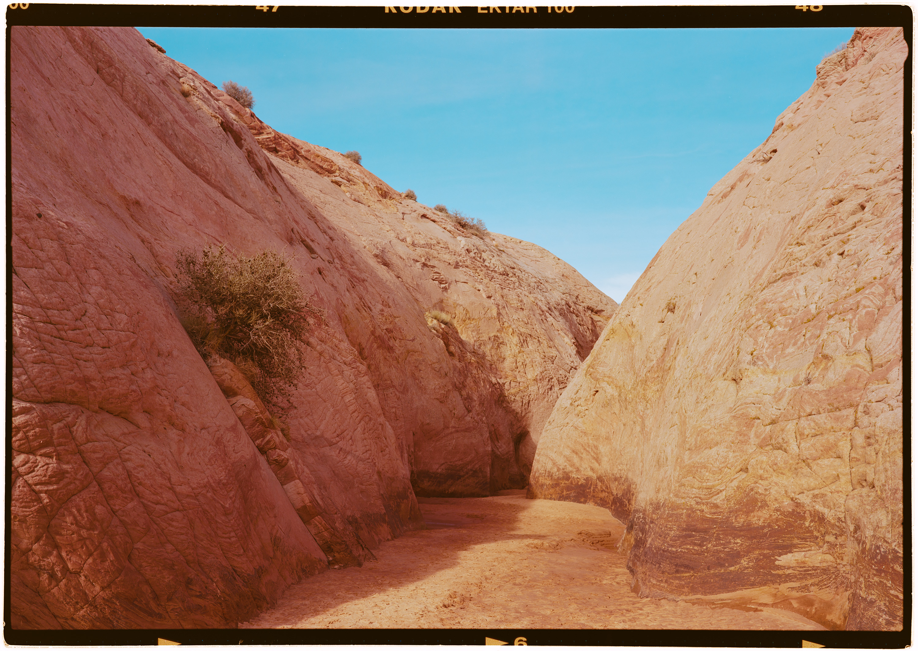 112925 Zebra Wash - GW690 III - Scan.jpg