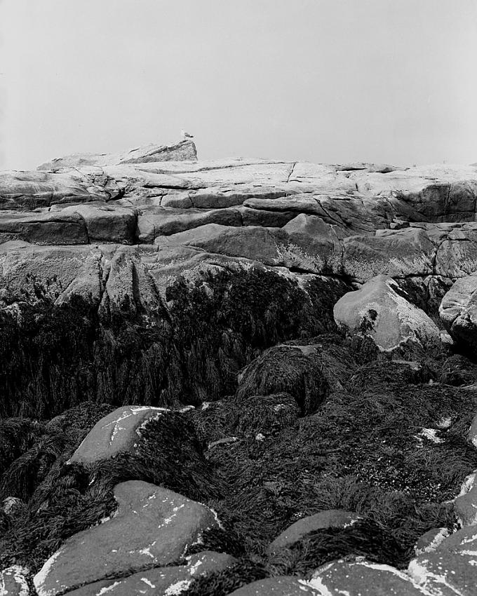 120fp4cb