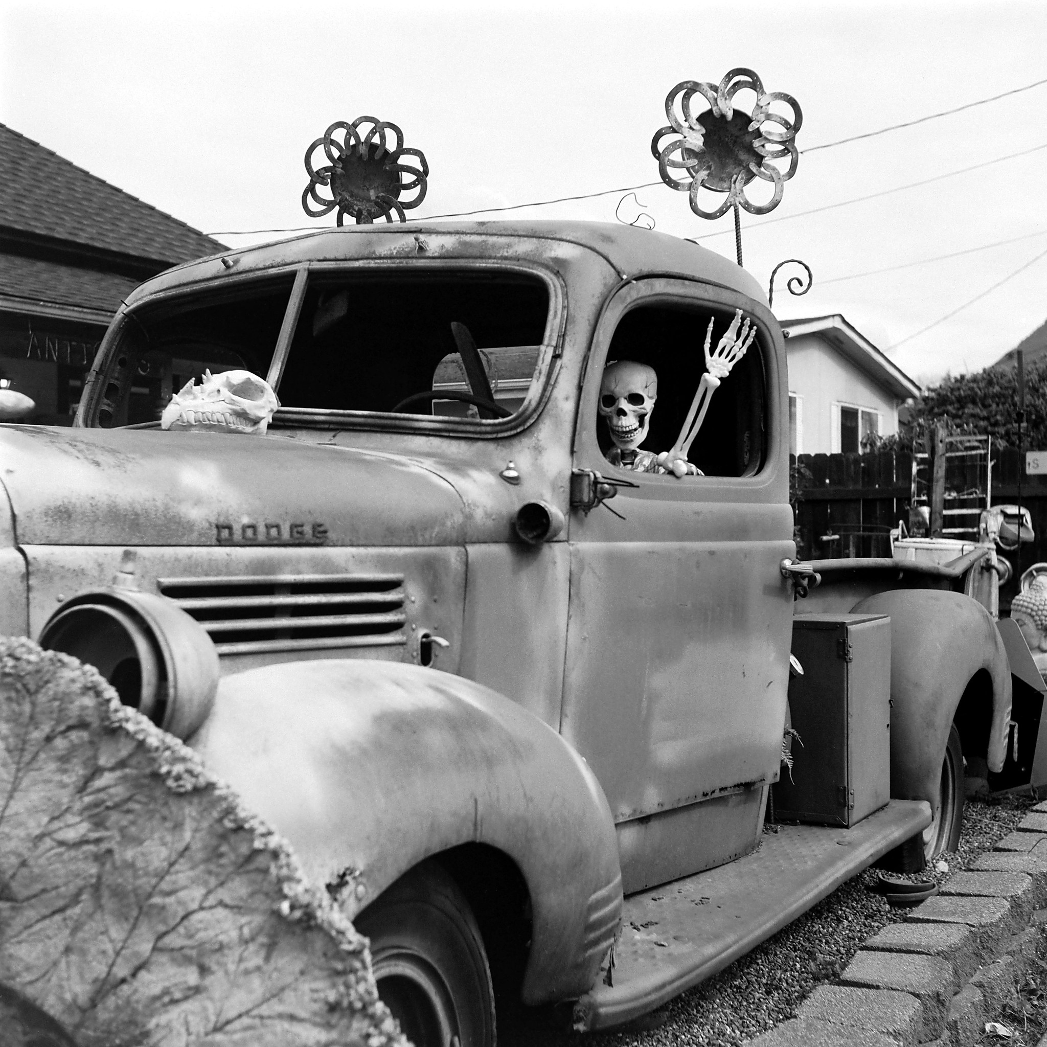 1946 Dodge truck