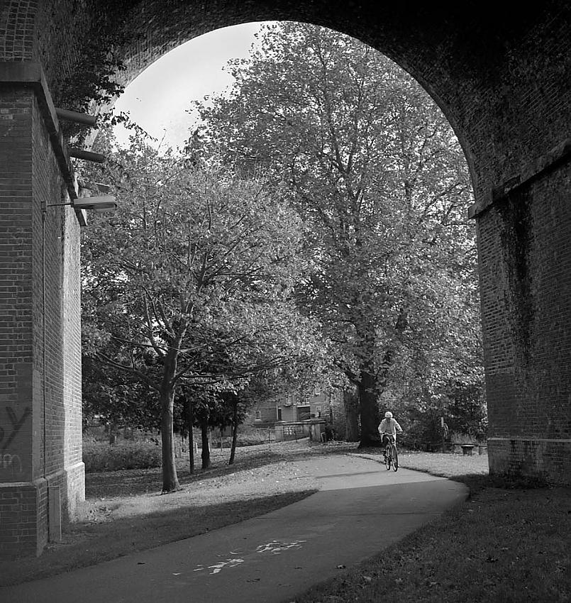 1961 Rollei + 1991 Agfa Pan !