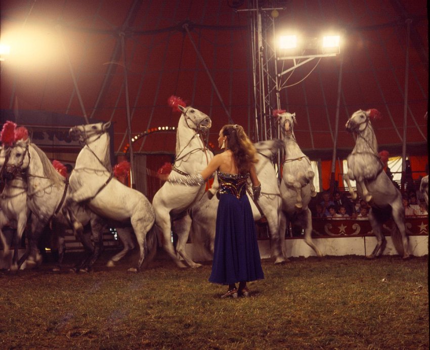 1970's Circus 01