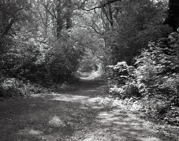 1st attempt and B&W developing 1