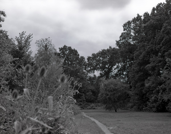 1st attempt and B&W developing 2