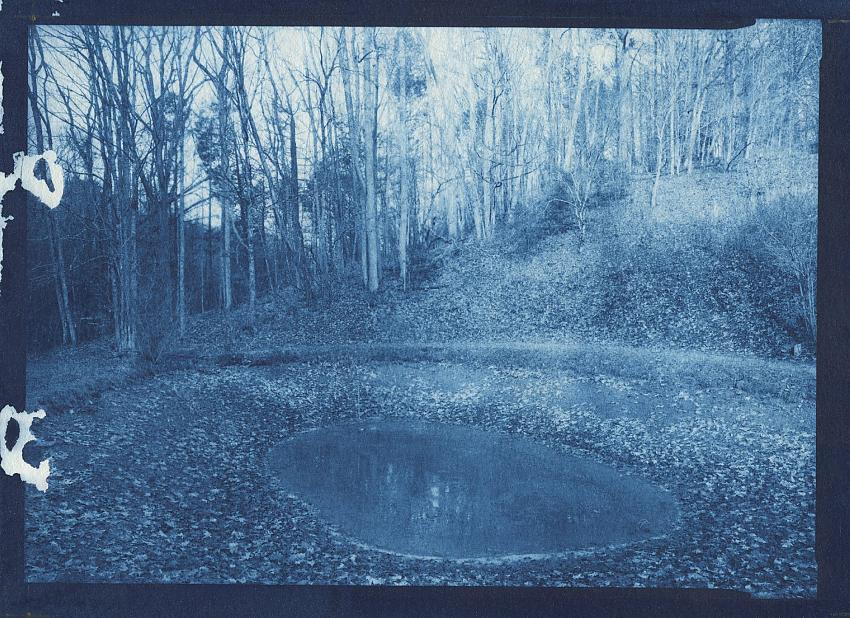 1st cyanotypes