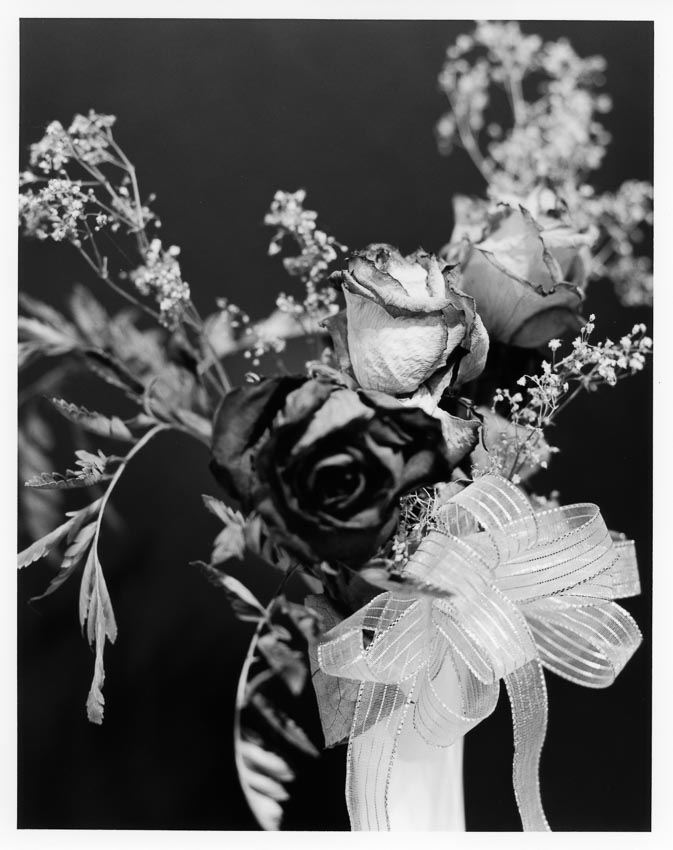1st4x5print