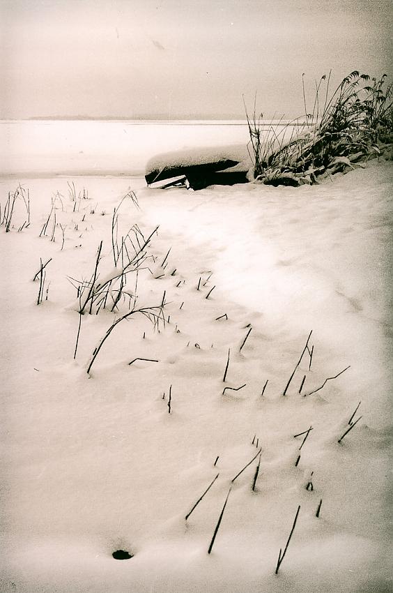 2010-12-19 048 lith