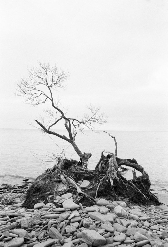 2017-01-16-M4P-HP5002