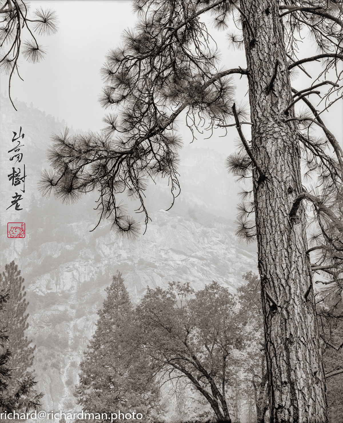 2020-10-Yosemite-Edit-Edi-withChopt