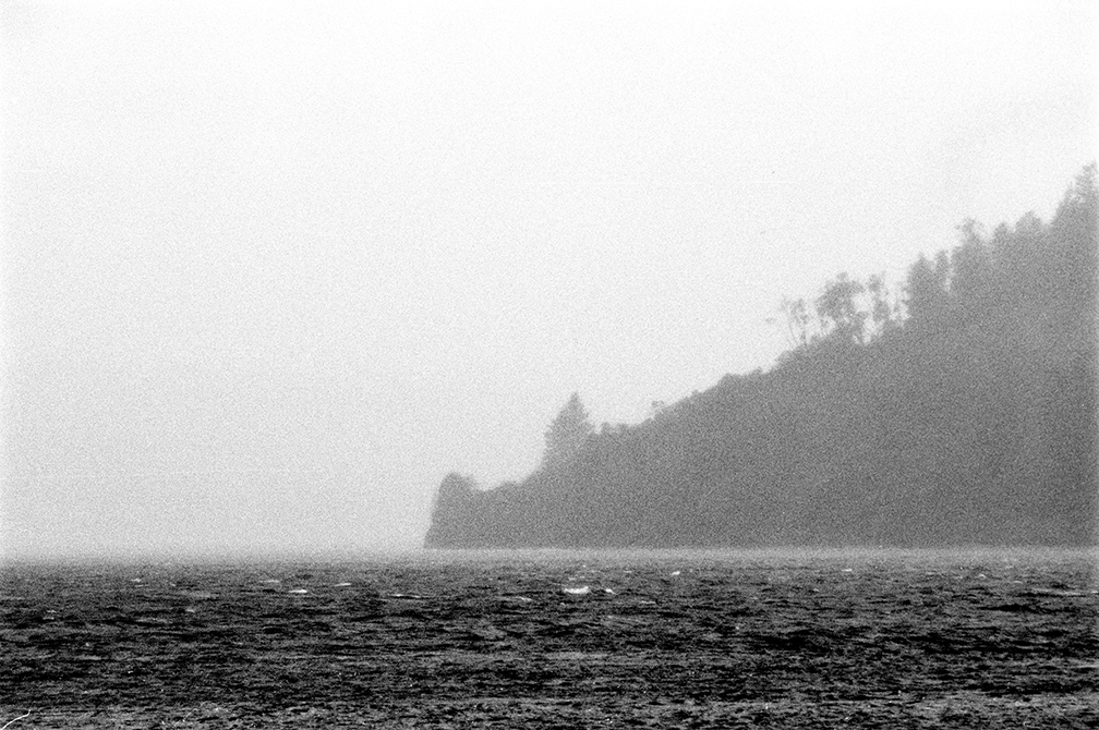 2021-02-08-0003